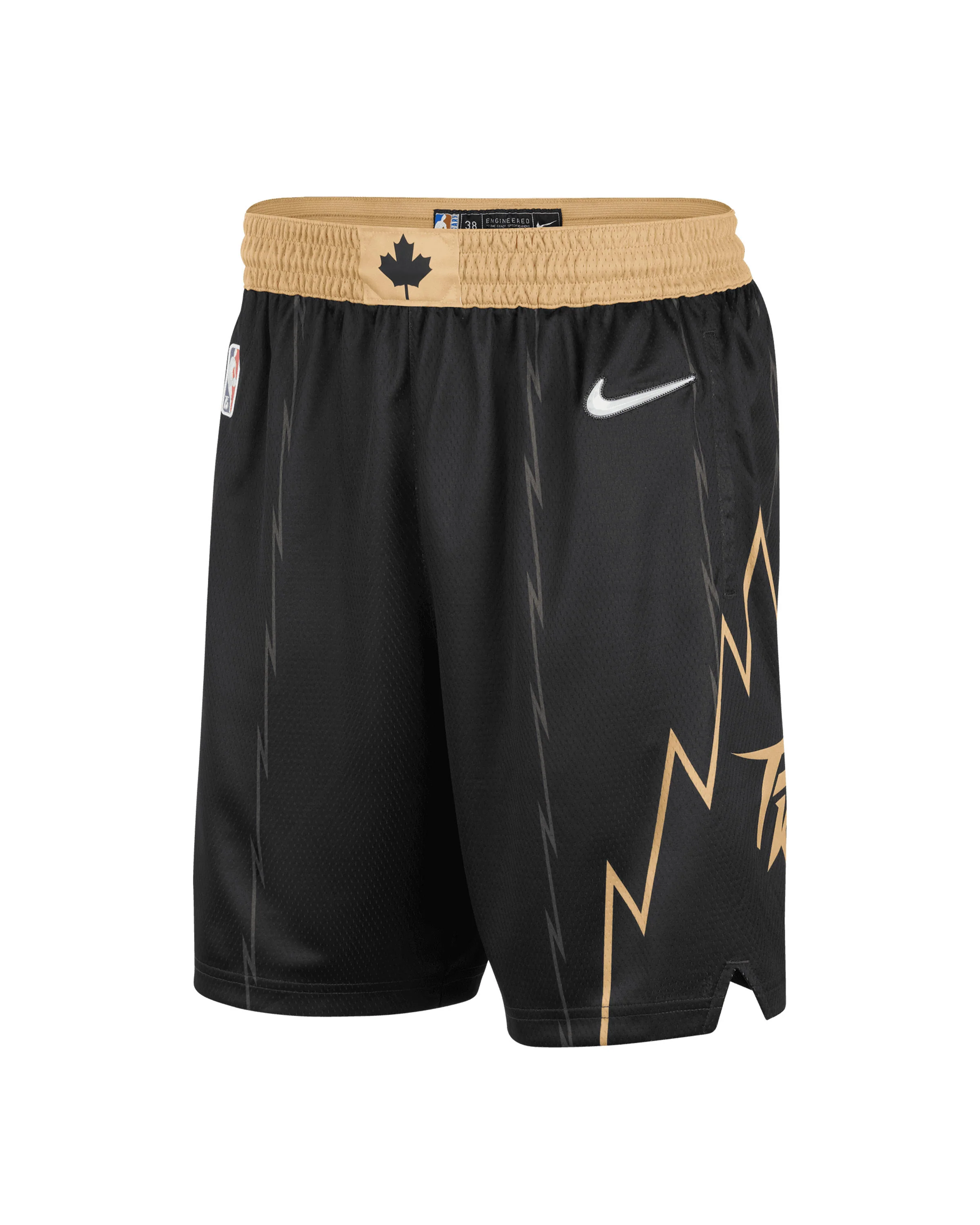 Nike TORONTO RAPTORS SWINGMAN SHORTS CITY EDITION 21